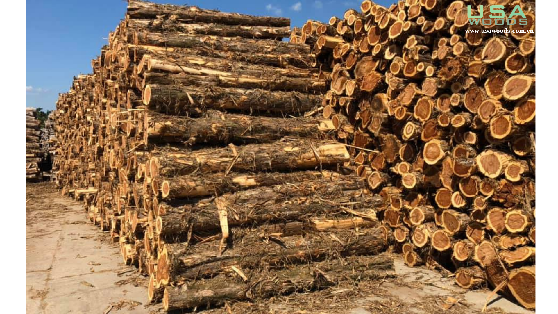 GỖ TUYẾT TÙNG ĐỎ CANADA (WESTERN RED CEDAR)