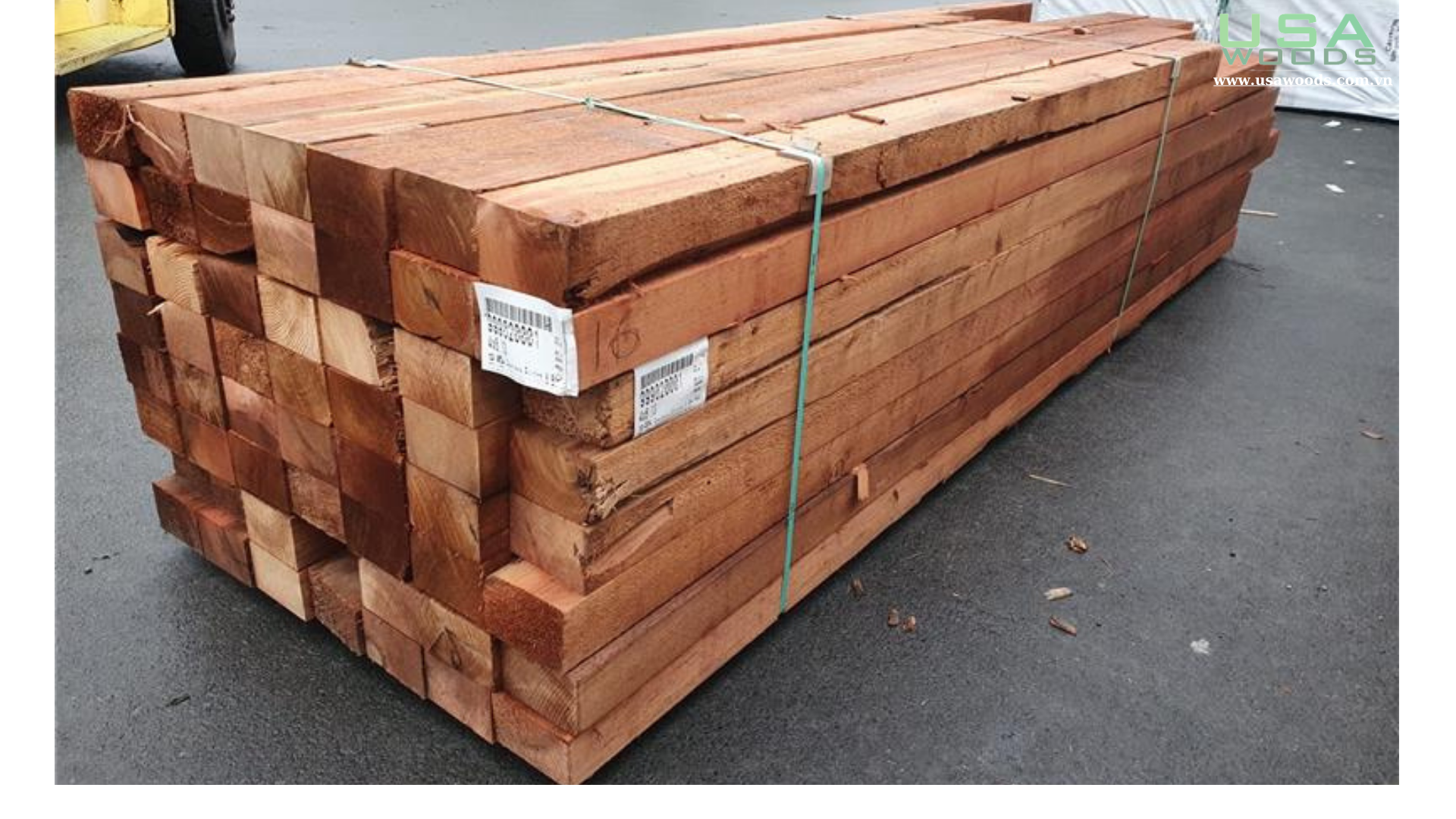 GỖ TUYẾT TÙNG ĐỎ CANADA (WESTERN RED CEDAR)
