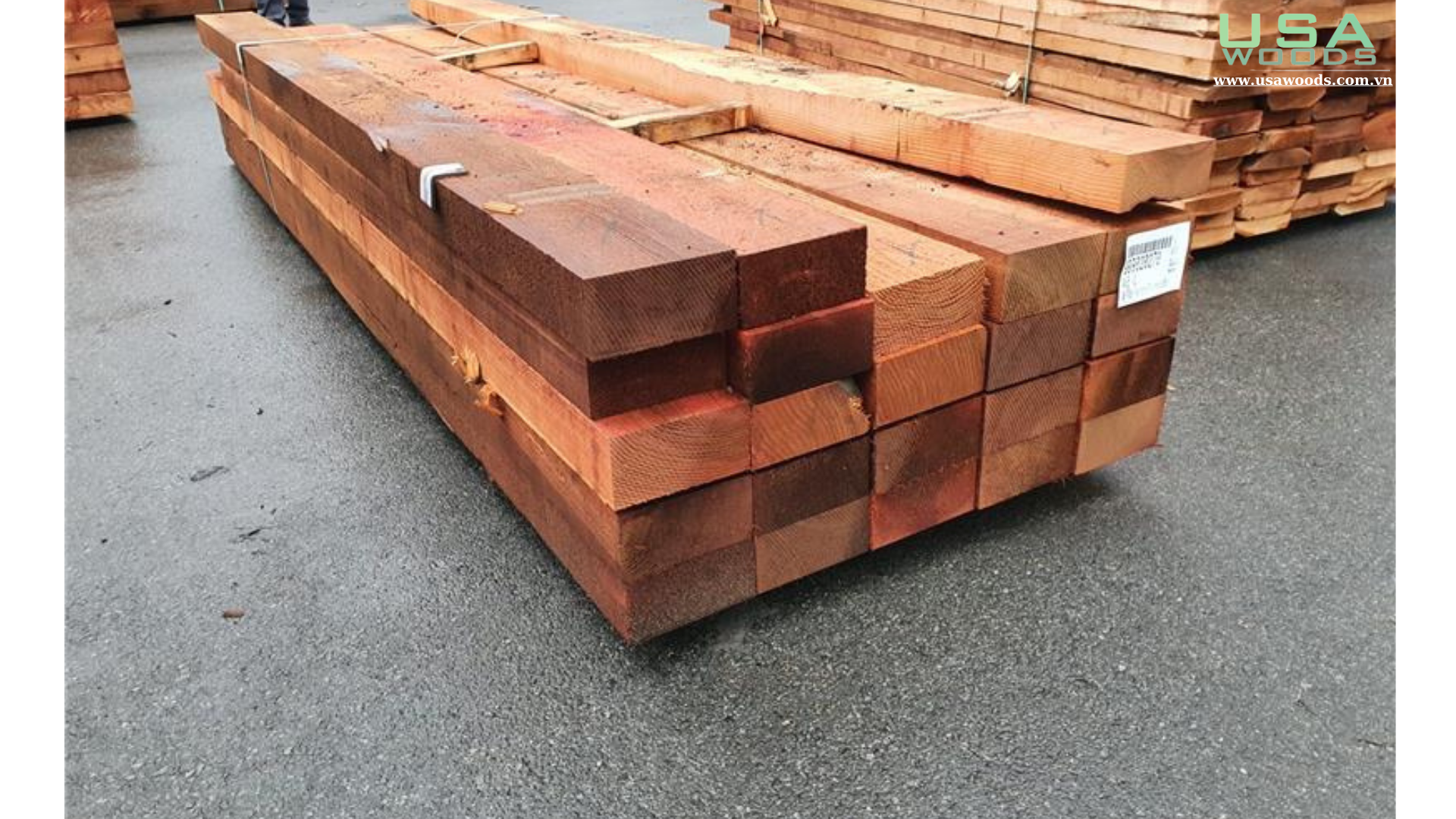 GỖ TUYẾT TÙNG ĐỎ CANADA (WESTERN RED CEDAR)