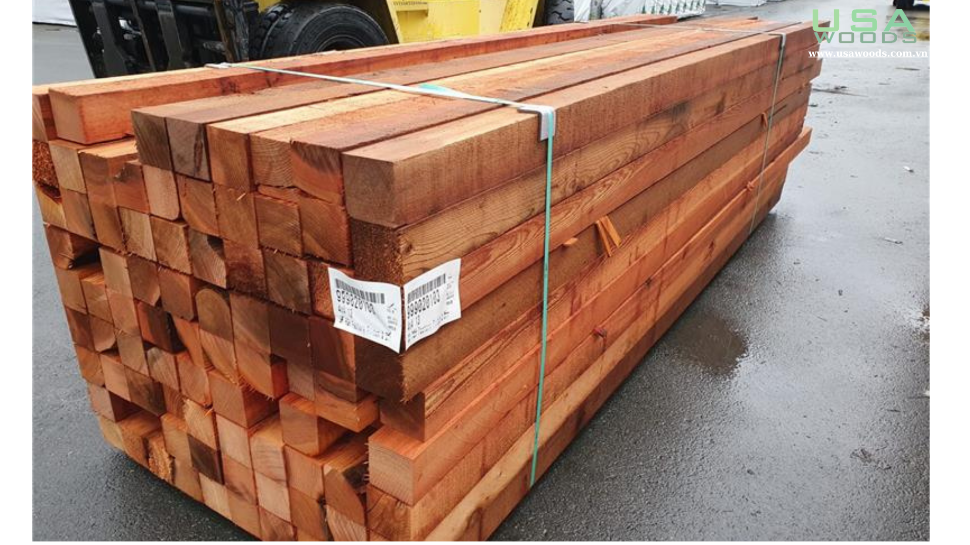 GỖ TUYẾT TÙNG ĐỎ CANADA (WESTERN RED CEDAR)