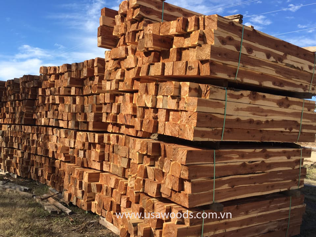 go tuyet tung do red cedar cants m9Xp