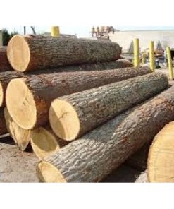 GỖ SỒI TRÒN (OAK LOG)