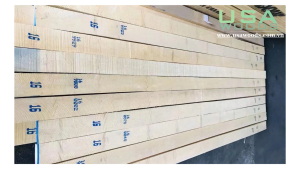 TIÊU CHUẨN GỖ SỒI MỸ PHÂN LOẠI THEO NHLA
